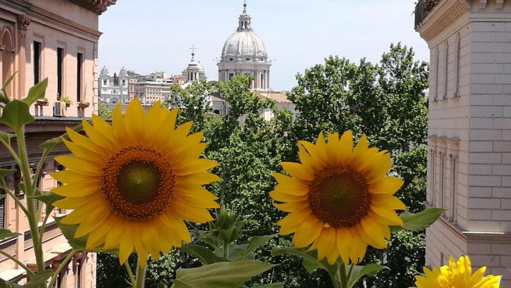 Residenza Cavallini Rome Extérieur photo